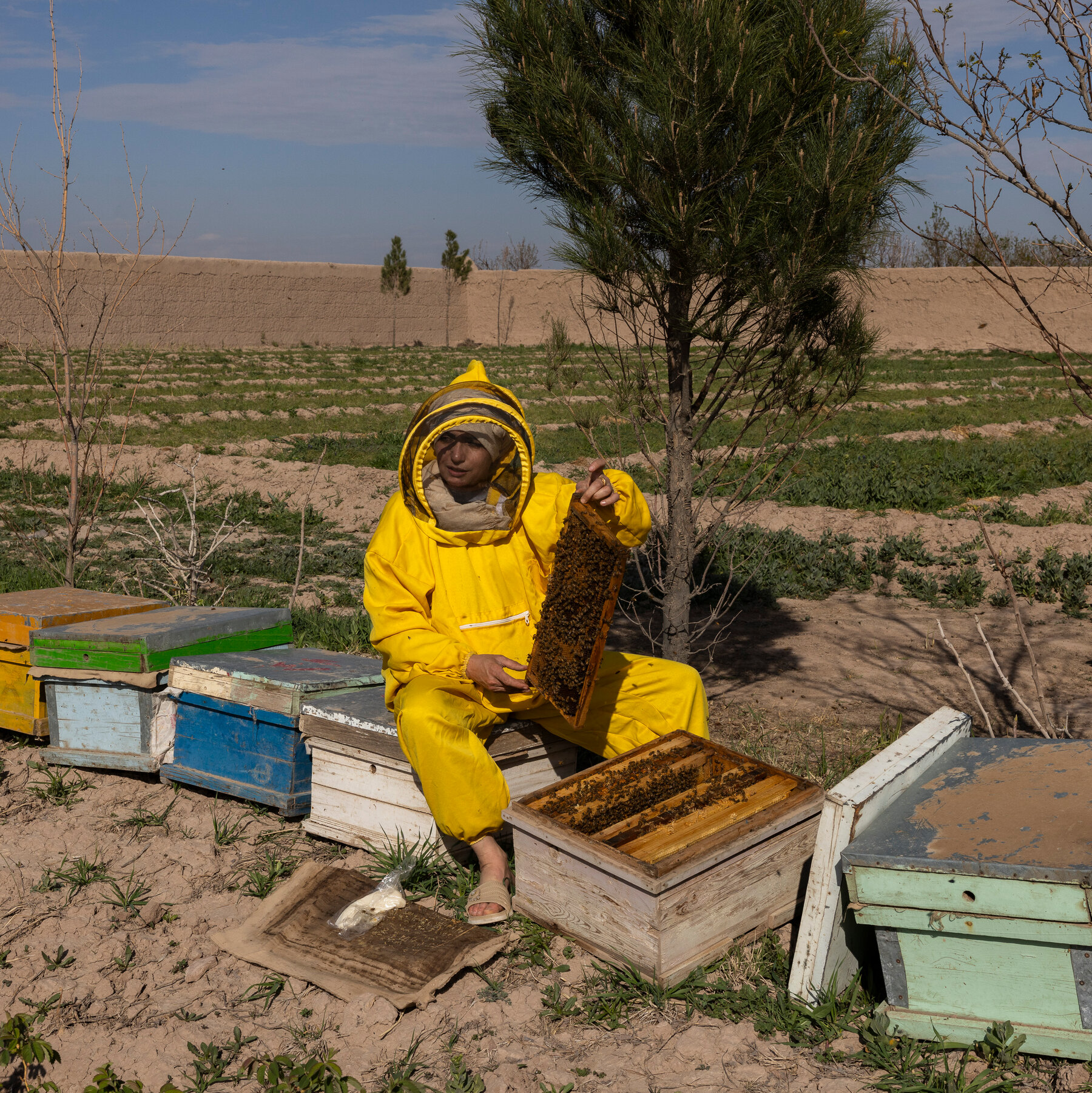Afghan Women Embrace Entrepreneurship Amidst Taliban Restrictions