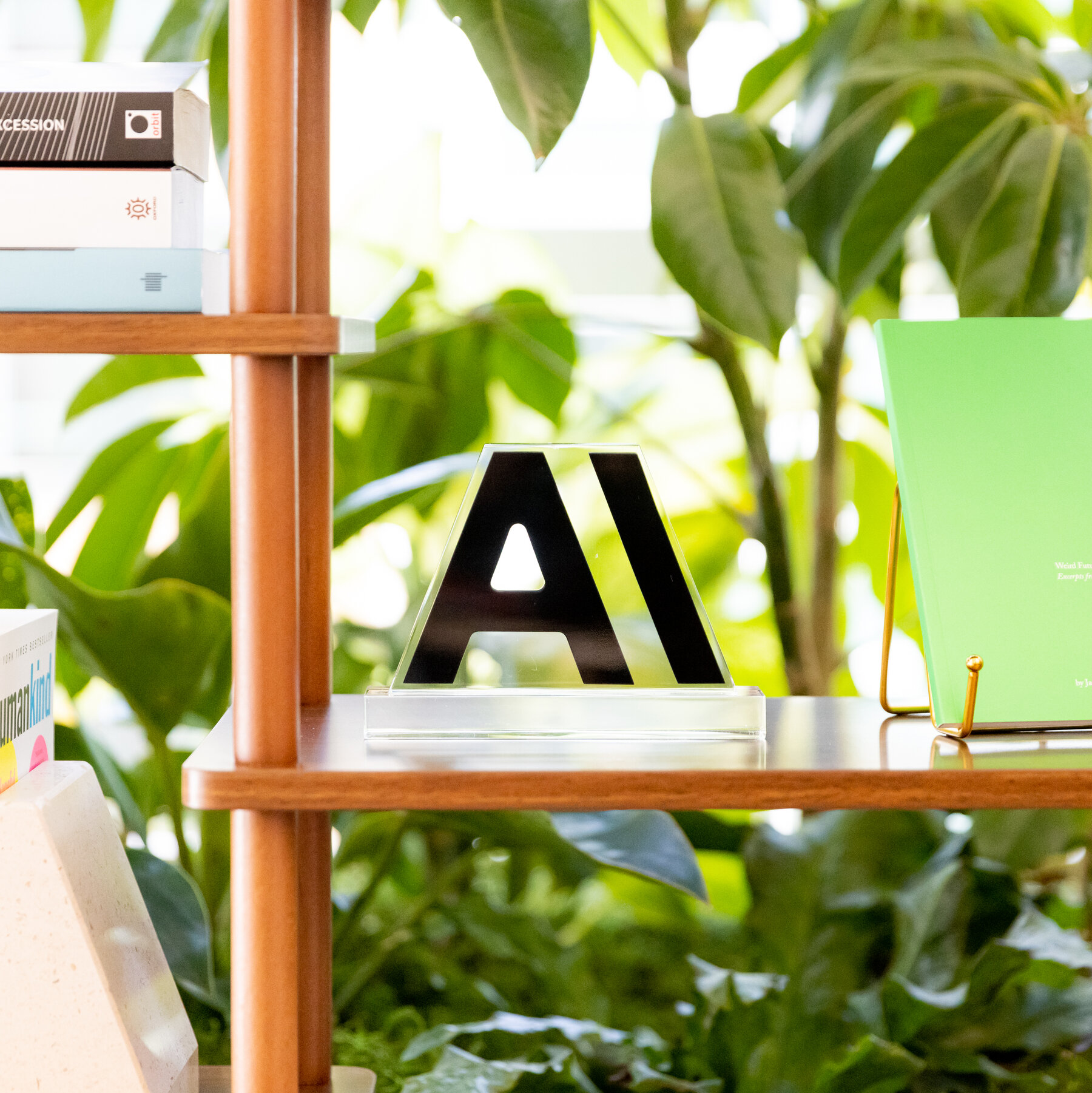 Anthropic Employees Express Concern Over AI Model Restrictions by Administration