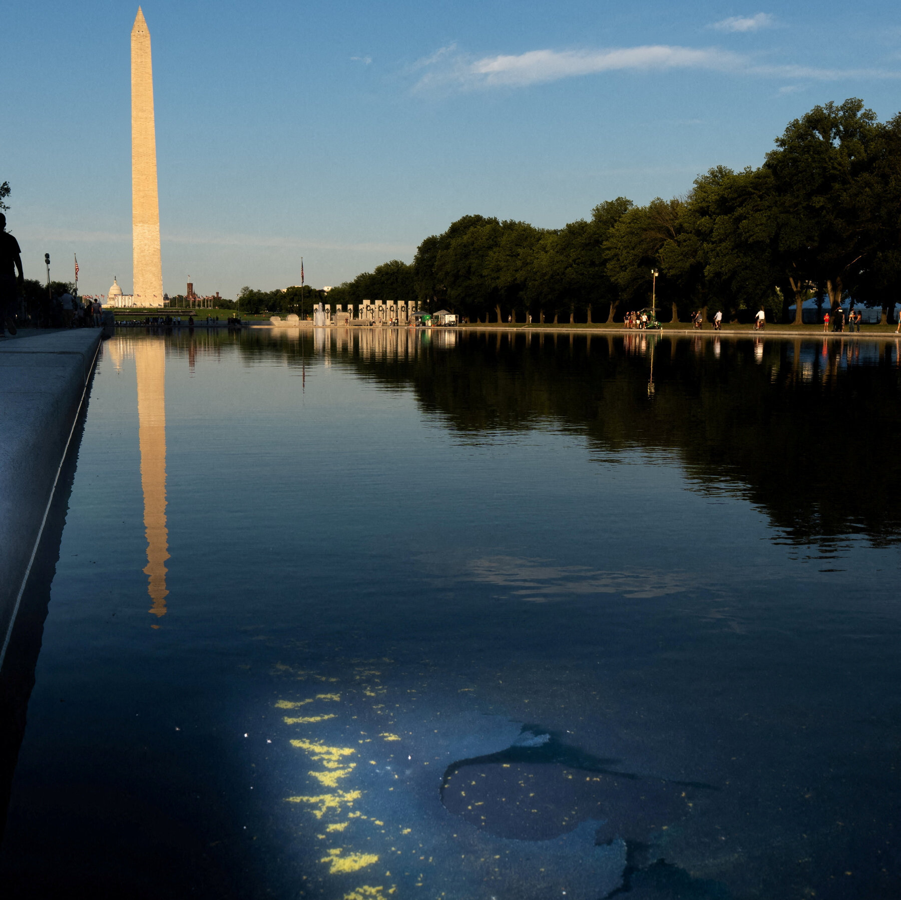 Examining the Allure of Presidential Renovation Projects