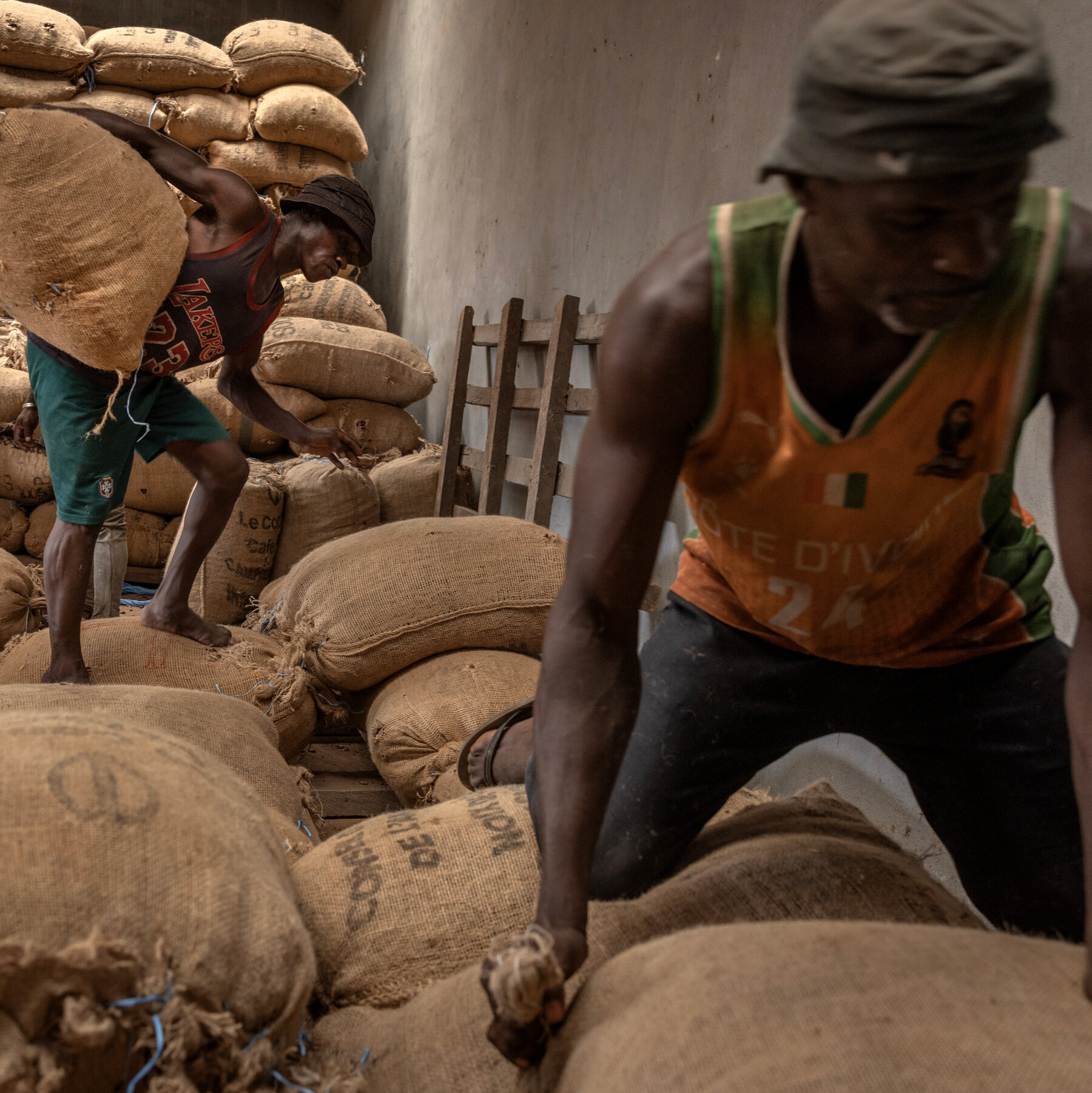Global Conflict's Lingering Impact on Vulnerable Agricultural Sectors