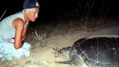 Renowned Lebanese Turtle Conservationist Dies Following Israeli Strike