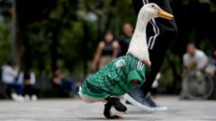 Merlin the Duck Becomes Mexico's Unofficial World Cup Mascot