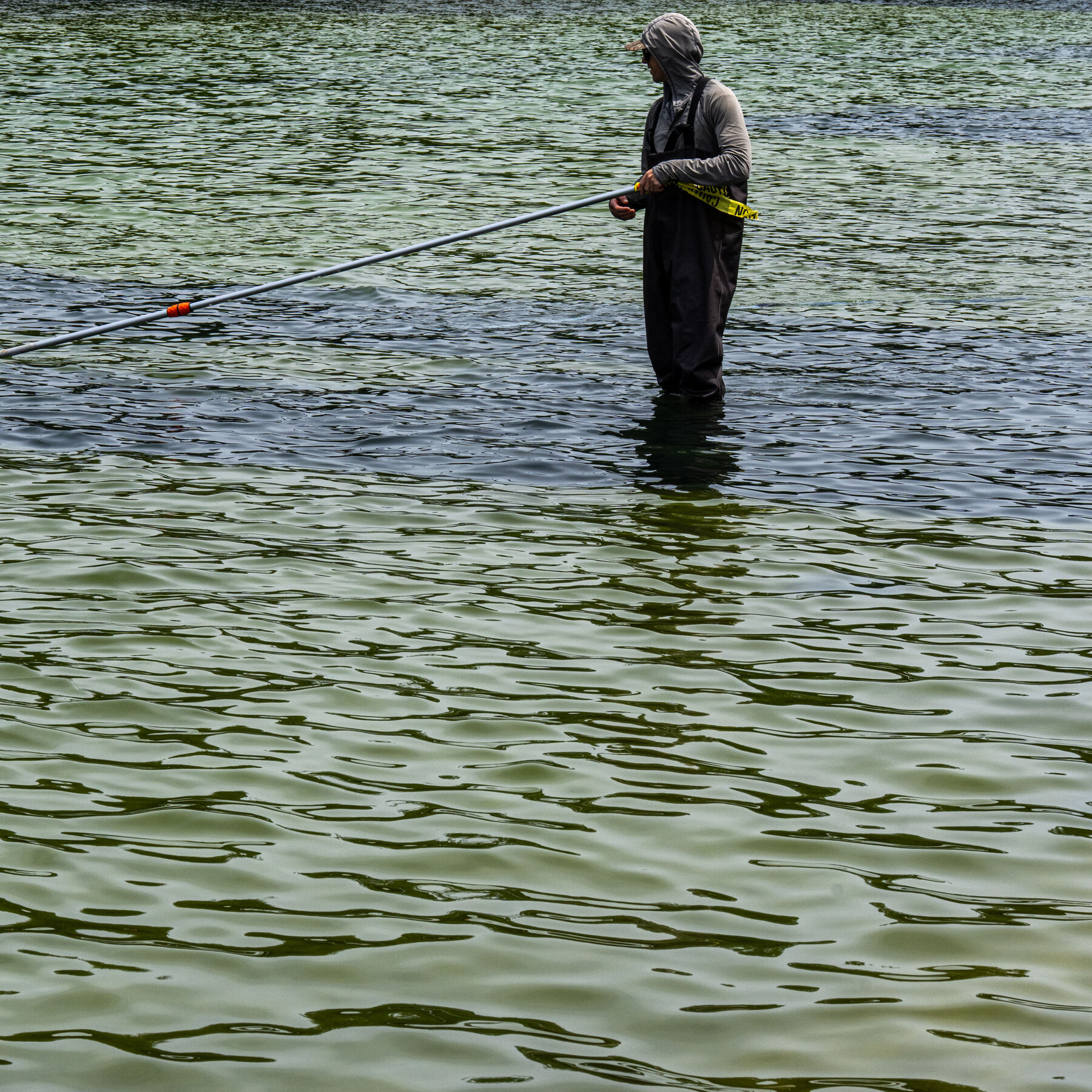 Reflecting Pool Faces Potential Draining Amid Algae Bloom and Vandalism Claims