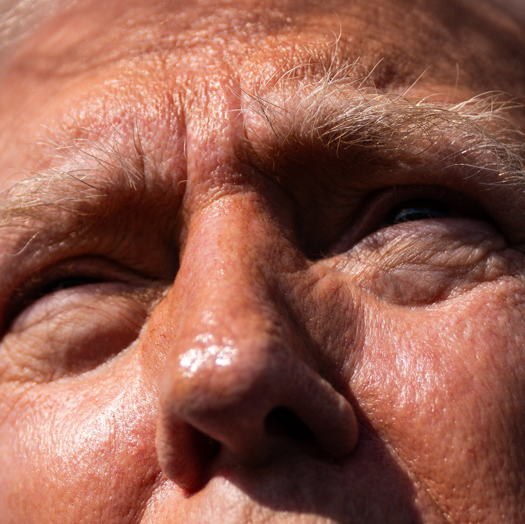 Review: 'Regime Change' Examines White House Dynamics