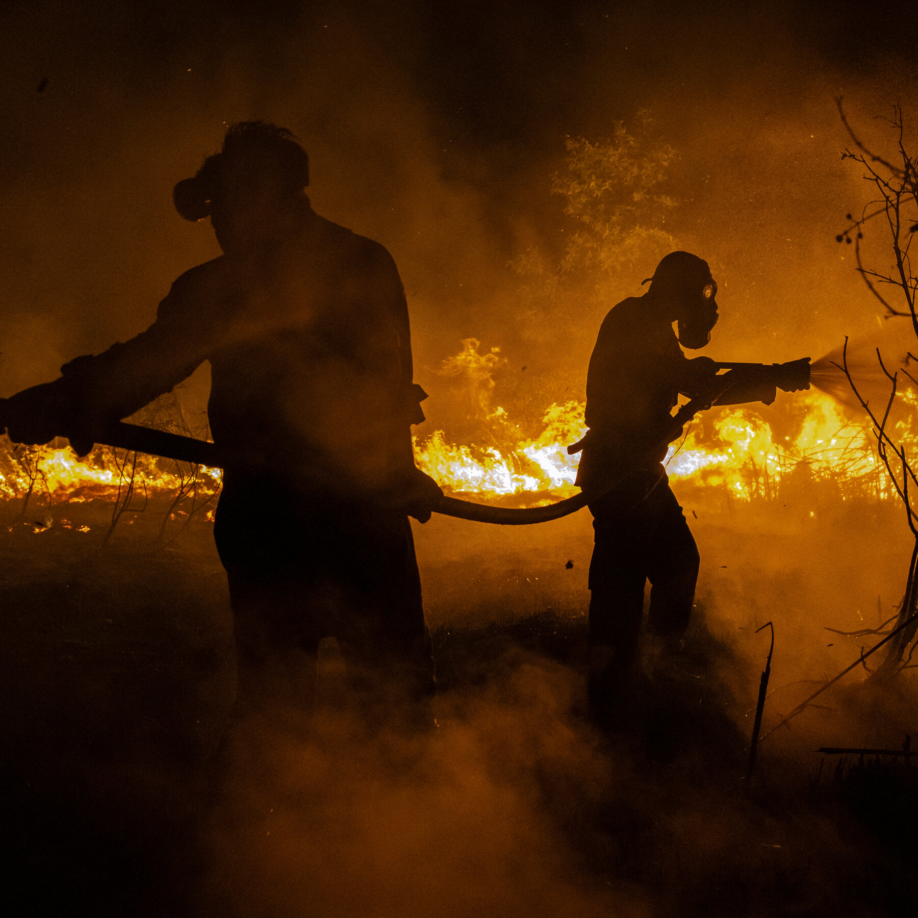 Scientists Divided on Climate Change's Influence on El Niño Intensity