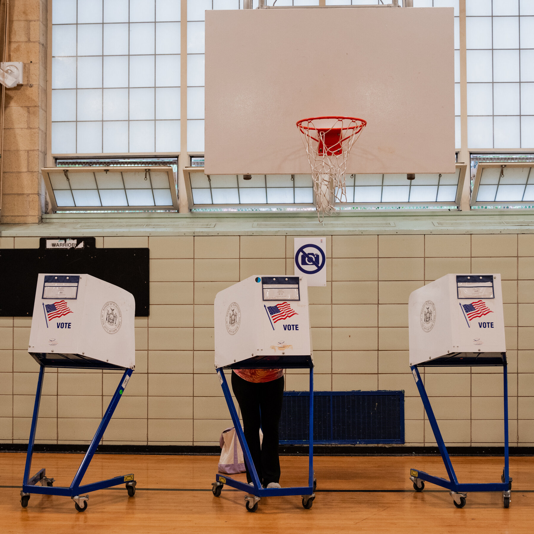Sparse Polling Data Marks New York's Democratic House Primaries