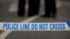Teenager Fatally Stabbed in South London, Prompting Murder Inquiry