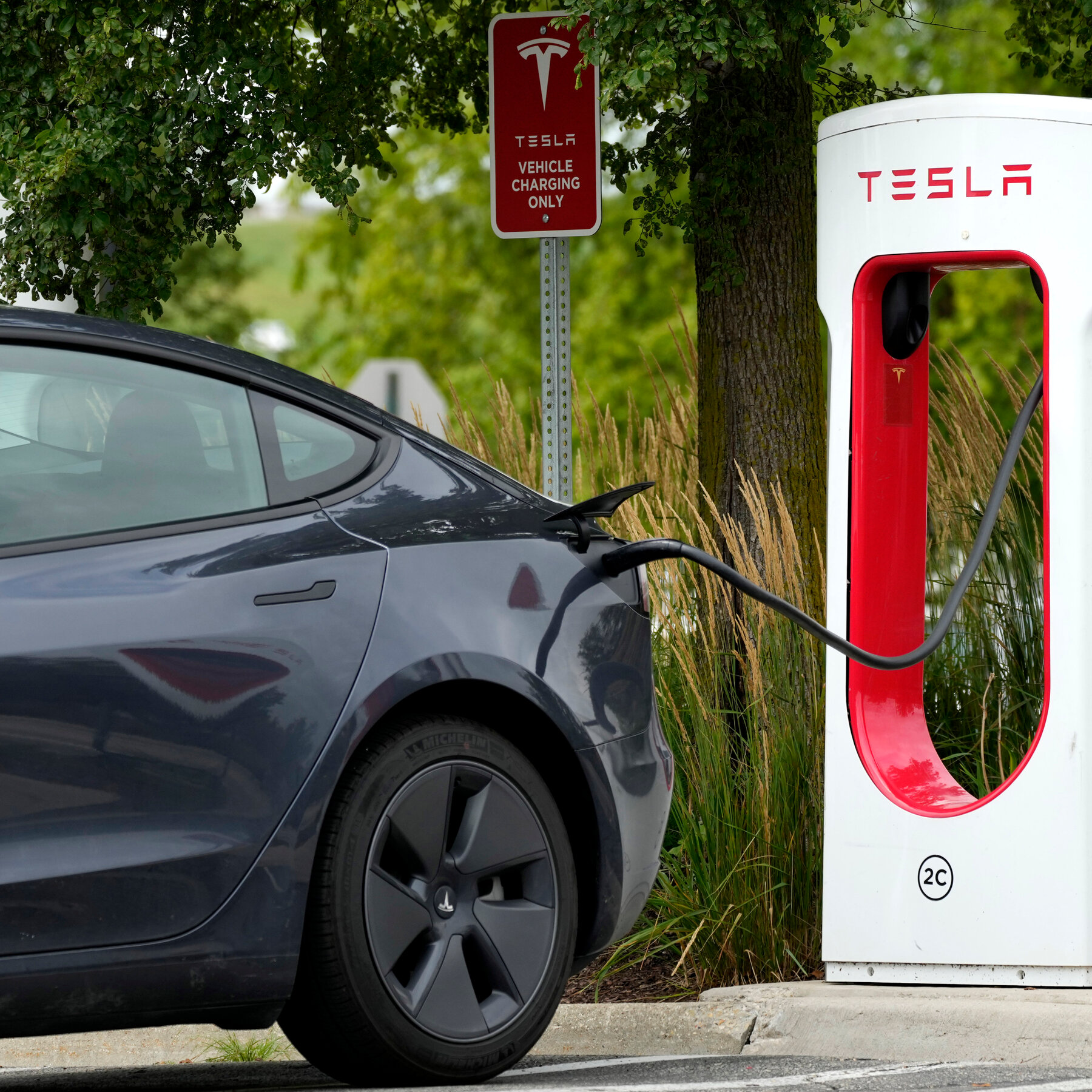 Tesla's European Sales Surge Amidst CEO Controversy: A Public Inquiry