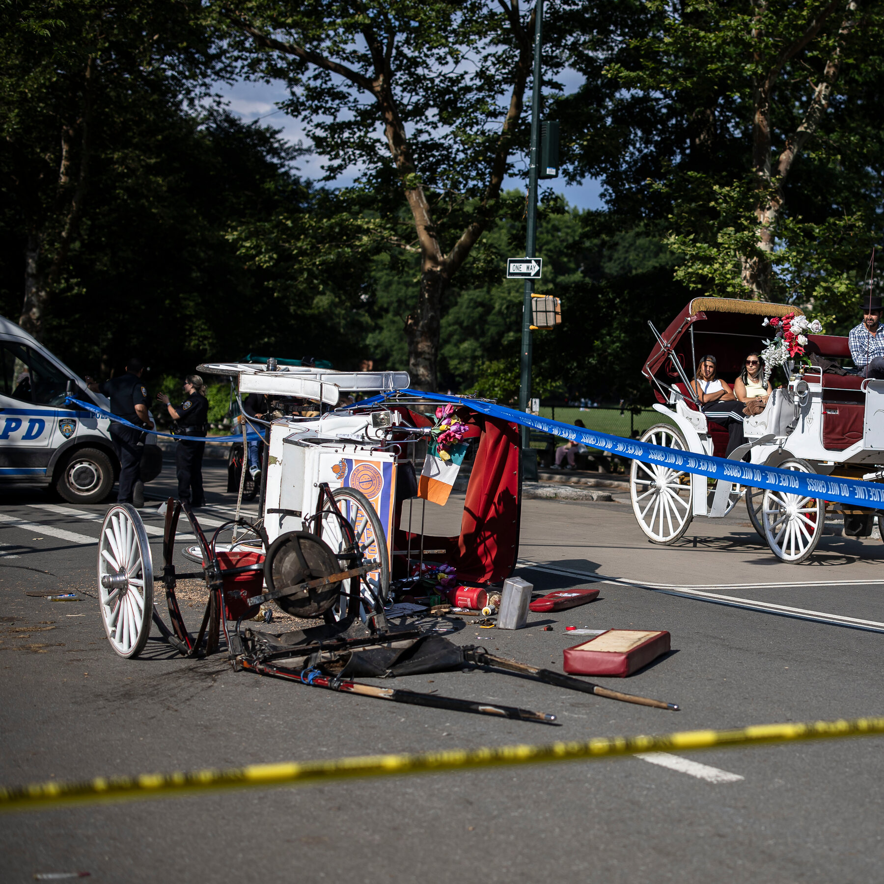 Tourist Critically Injured After Central Park Horse Carriage Incident