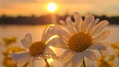UK Weather Outlook: Assessing the Persistence of Extreme Heat