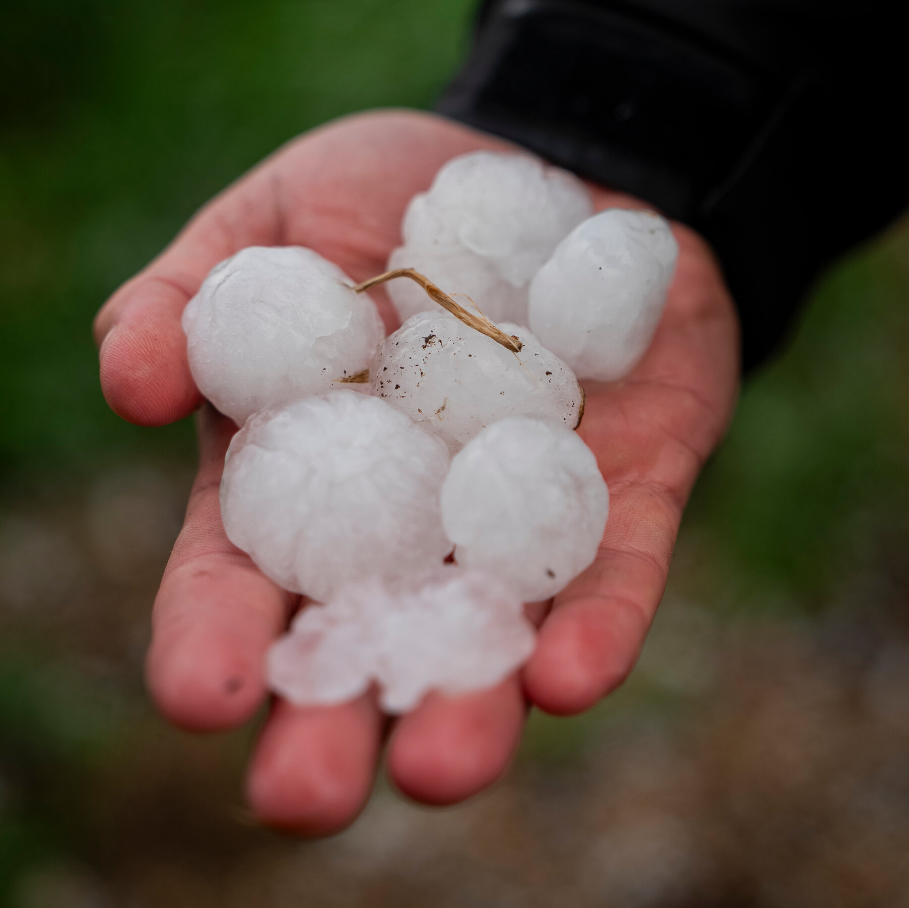 Unraveling the Mystery of Hail: Scientists and Storm Chasers Collaborate