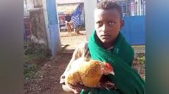 Young Ethiopian Boy Gains Viral Attention for Hospitalizing Sick Chicken